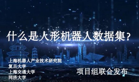 什么是人形机器人数据集？